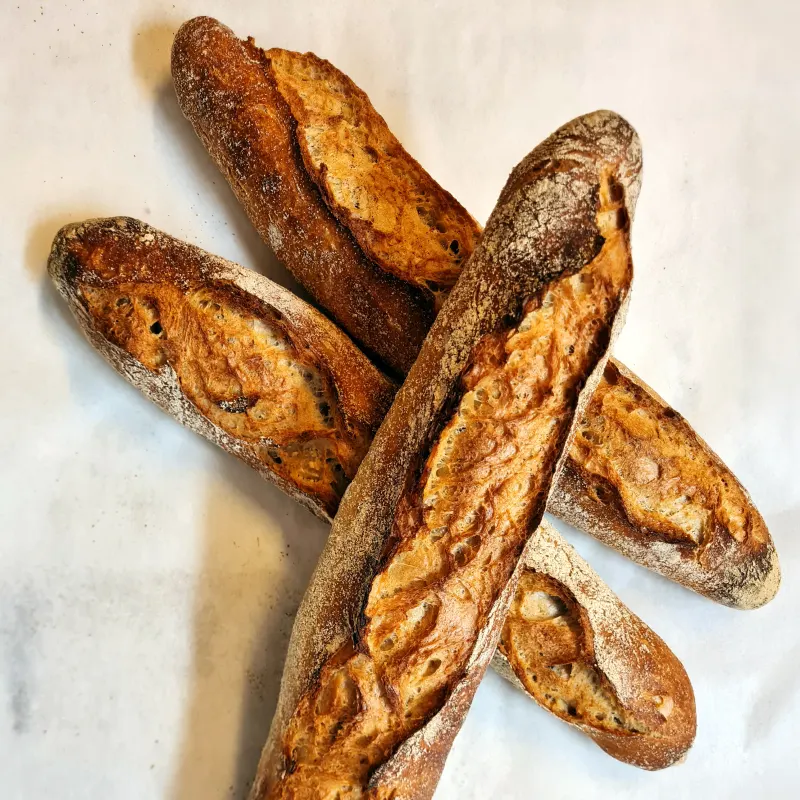 Photo de Méjeannette au levain naturel